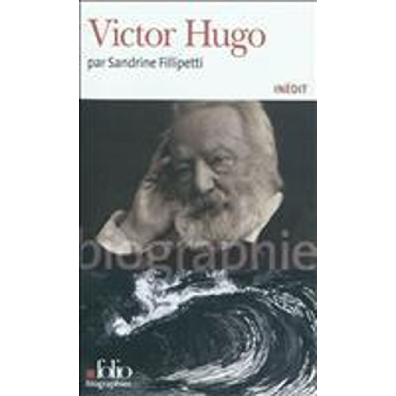 victor hugo biography book